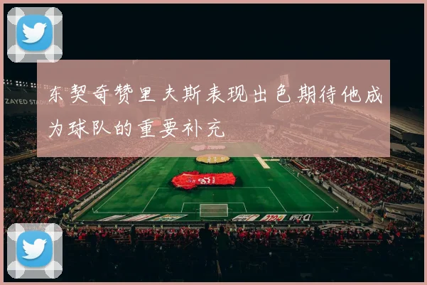 东契奇赞里夫斯表现出色期待他成为球队的重要补充